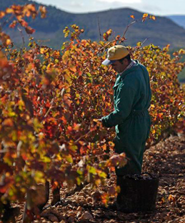 Unsere Partner – es muss passen!